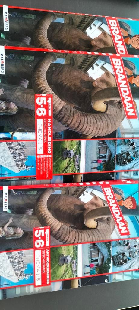 Nauta, Meander & Brandaan Handleidingen, Boeken, Schoolboeken, Gelezen, Aardrijkskunde, VMBO, Ophalen of Verzenden