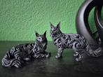 Maine Coon beeldje diversen, Ophalen of Verzenden, Nieuw, Dier