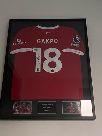Ingelijst Gesigneerd shirt Cody gakpo liverpool beschikbaar voor biedingen