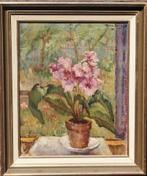 Ina Hooft (1894-1994) Streptocarpus - olieverf, Antiek en Kunst, Kunst | Schilderijen | Klassiek, Ophalen of Verzenden