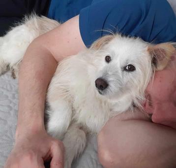 PLUSH ZACHTAARDIG, VRIENDELIJK, REUTJE,  ZOEKT LIEVE FAMILIE beschikbaar voor biedingen