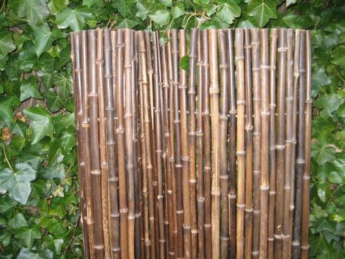 Bamboerolscherm Black 180 x 180 cm, Tuin en Terras, Schuttingen, Nieuw, Hout, 1 tot 2 meter, Minder dan 3 meter, Ophalen