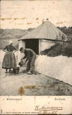 zoutelande . willebrorduspul, Verzenden, Voor 1920, Ongelopen, Zeeland