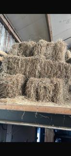 Te koop Hooi bundels & losse balen, Dieren en Toebehoren, Dierenvoeding, Ophalen