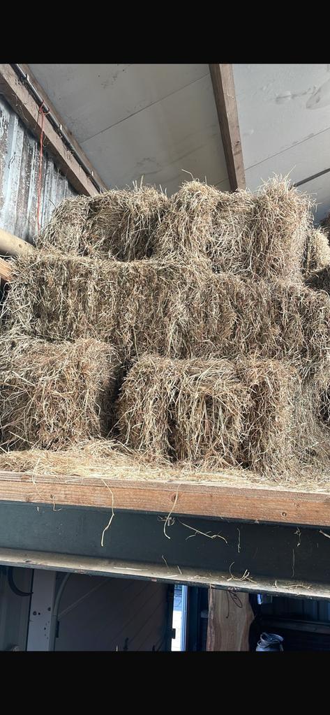 Te koop Hooi bundels & losse balen, Dieren en Toebehoren, Dierenvoeding, Ophalen