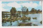 195 Leersum Meeuwenkolonie Leersumse Plassen Verzonden, Verzenden, Gelopen, Utrecht
