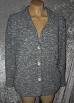 Leuk vest van Rossler Maat 42, Kleding | Dames, Ophalen of Verzenden, Zo goed als nieuw, Maat 38/40 (M), Grijs