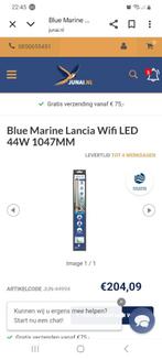 2x Bleu marine lancia led wifi, Dieren en Toebehoren, Vissen | Aquaria en Toebehoren, Ophalen of Verzenden, Zo goed als nieuw