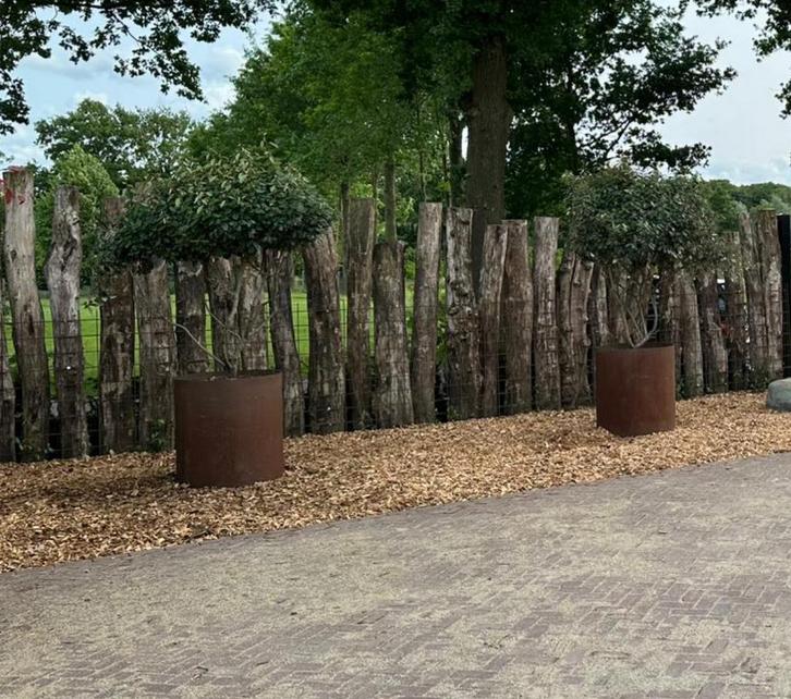 Houtsnippers, Tuin en Terras, Overige Tuin en Terras, Nieuw, Ophalen of Verzenden