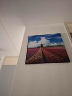 Diverse Wanddecoratie, Ophalen, Minder dan 50 cm, 50 tot 75 cm, Print
