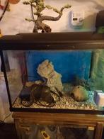 Aquarium, Dieren en Toebehoren, Ophalen, Leeg aquarium