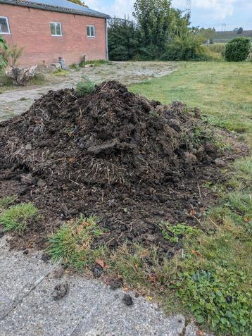 paardenmest - grotendeels gecomposteerd  beschikbaar voor biedingen