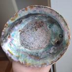 Grote Abalone schelp parelmoer schelpen, Ophalen of Verzenden, Schelp(en)