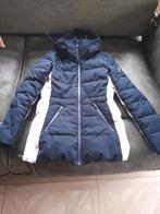 Gaastra dames jas maat S, Gaastra, Blauw, Ophalen of Verzenden, Maat 36 (S)