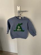 Truitje, Truitje of Vestje, Ophalen of Verzenden, Zo goed als nieuw, Hema