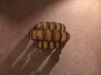 Wandlamp ptmd, Huis en Inrichting, Ophalen, Metaal