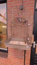 Complete set: Engelse Grasparkieten + Duvo Mocha kooi – €90, Dieren en Toebehoren, Vogels | Parkieten en Papegaaien, Meerdere dieren