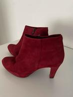 Bordeaux velvet enkellaars met hak, Kleding | Dames, Overige kleuren, Lage of Enkellaarzen, Ophalen of Verzenden, Zo goed als nieuw
