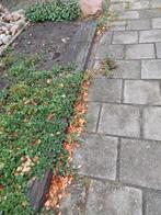 spoorbielzen., Ophalen, Gebruikt, Minder dan 100 cm, Minder dan 25 cm