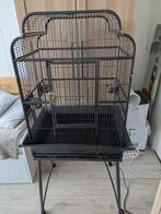 Strong Villa Andrea vogelkooi, Dieren en Toebehoren, Ophalen, Gebruikt, Metaal, Vogelkooi