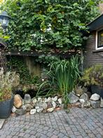 Natuurstenen / zwerfkeien op te halen, Tuin en Terras, Grind, Keien en Split, Ophalen of Verzenden, Gebruikt, Overige materialen