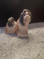 Lhaso apso, Ophalen of Verzenden, Dier