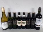 Wijnen: Chardonnay,  Merlot,  Saint-Emilion., Ophalen of Verzenden, Nieuw, Frankrijk, Rode wijn