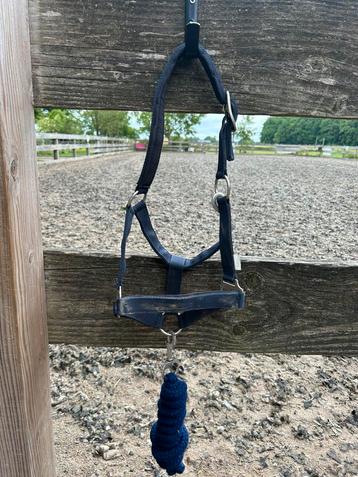 Paardenspullen te koop voor een leuk prijsje! beschikbaar voor biedingen