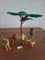 Playmobil leeuwenfamilie met oppasser en grote boom., Kinderen en Baby's, Speelgoed | Playmobil, Ophalen of Verzenden, Los playmobil