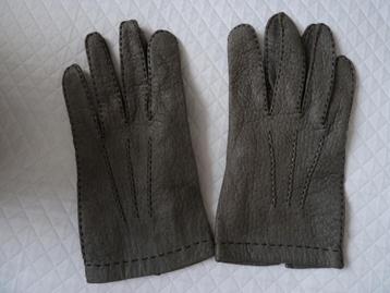 Peccary leren handschoenen, kleur grijs, maat 8 1/4, nieuw beschikbaar voor biedingen