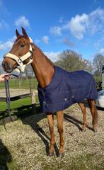 Nieuwe Profi-rider staldekens, Dieren en Toebehoren, Ophalen of Verzenden, Nieuw, Deken