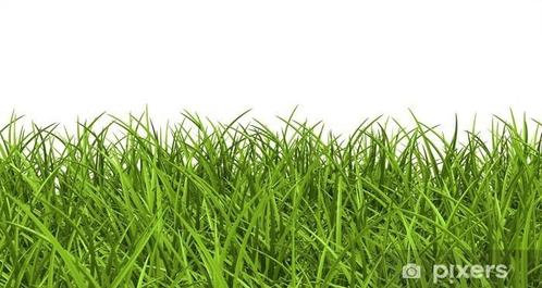 Gezocht; restjes graszoden, Tuin en Terras, Gras en Kunstgras, Nieuw, 20 m² of meer, Ophalen