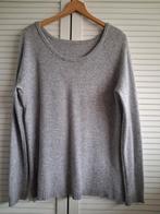 Peter Hahn Kasjmier Trui Lichtgrijs - Goede Staat, Kleding | Dames, Maat 38/40 (M), Verzenden, Peter Hahn, Grijs