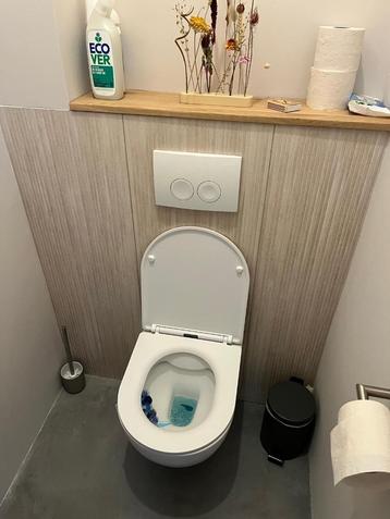 badkamer/toilet tegen 40x120 2 stuks - GRATIS 