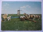 N46 Texel - Bij molen 't Noorden  - 1968, Verzamelen, Verzenden, 1960 tot 1980, Gelopen, Waddeneilanden