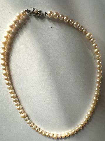 Zoet water parel collier met zilveren sluiting beschikbaar voor biedingen