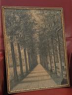 Oude prent Elswoutlaan met gouden lijst Overveen/ Haarlem, Ophalen of Verzenden