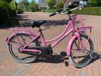 Alpina cargo 20 inch, Fietsen en Brommers, Fietsen | Meisjes, Ophalen, Alpina, 20 inch, Handrem