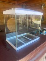 Superfish aquarium start 50, Ophalen, Gebruikt, Leeg aquarium