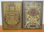 1589 // Goethes werke, 2 boeken, Ophalen of Verzenden, Gelezen, Nederland