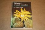 Lithops. Levende steentjes. Dr. Rudolf Heine., Ophalen of Verzenden, Gelezen