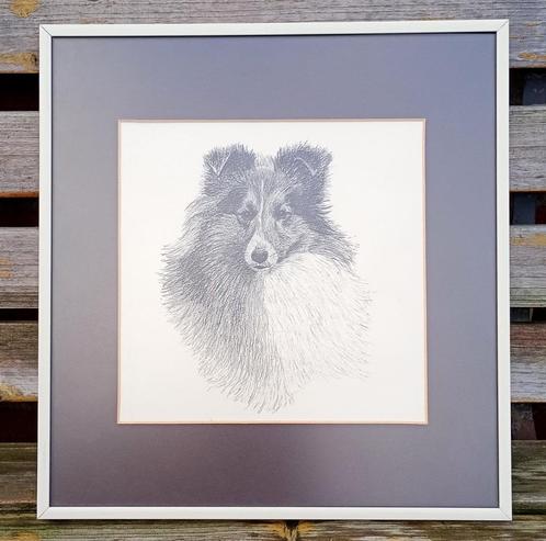 sheltie afbeelding in lijst,steve ribbons"doggs in print", Antiek en Kunst, Kunst | Schilderijen | Abstract, Ophalen of Verzenden