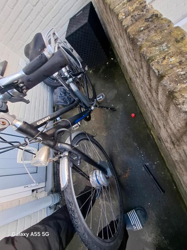 Giant Twist 2.0 elektrische fiets, Fietsen en Brommers, Elektrische fietsen, Gebruikt, Overige merken, Ophalen