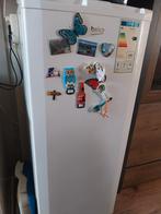 Koelkast, Witgoed en Apparatuur, Ophalen, 45 tot 60 cm, Zonder vriesvak, Gebruikt