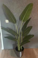 Kunstplant Strelitzia - 156cm Hoog, Huis en Inrichting, Kamerplanten, Ophalen, Overige soorten, Halfschaduw, In pot