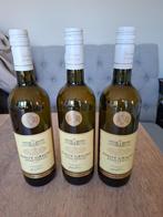 3 flessen wijn - Pinot Grigio Delle Venezie en Rustenberg, Ophalen of Verzenden, Nieuw, Italië, Witte wijn