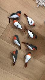 Roodborstjes decoratie, Meerdere dieren, Tropenvogel