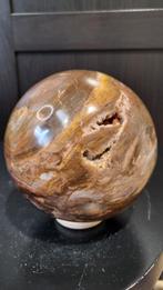 Versteend hout bol XL 11 cm, Verzamelen, Ophalen of Verzenden