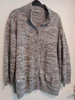 vest 3 - maat 54, Kleding | Dames, Grote Maten, Ophalen of Verzenden, Gedragen, Overige kleuren, Trui of Vest