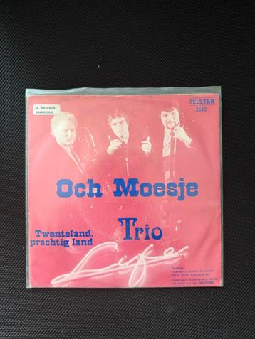 Trio Life - Och Moesje / Twenteland prachtig land beschikbaar voor biedingen